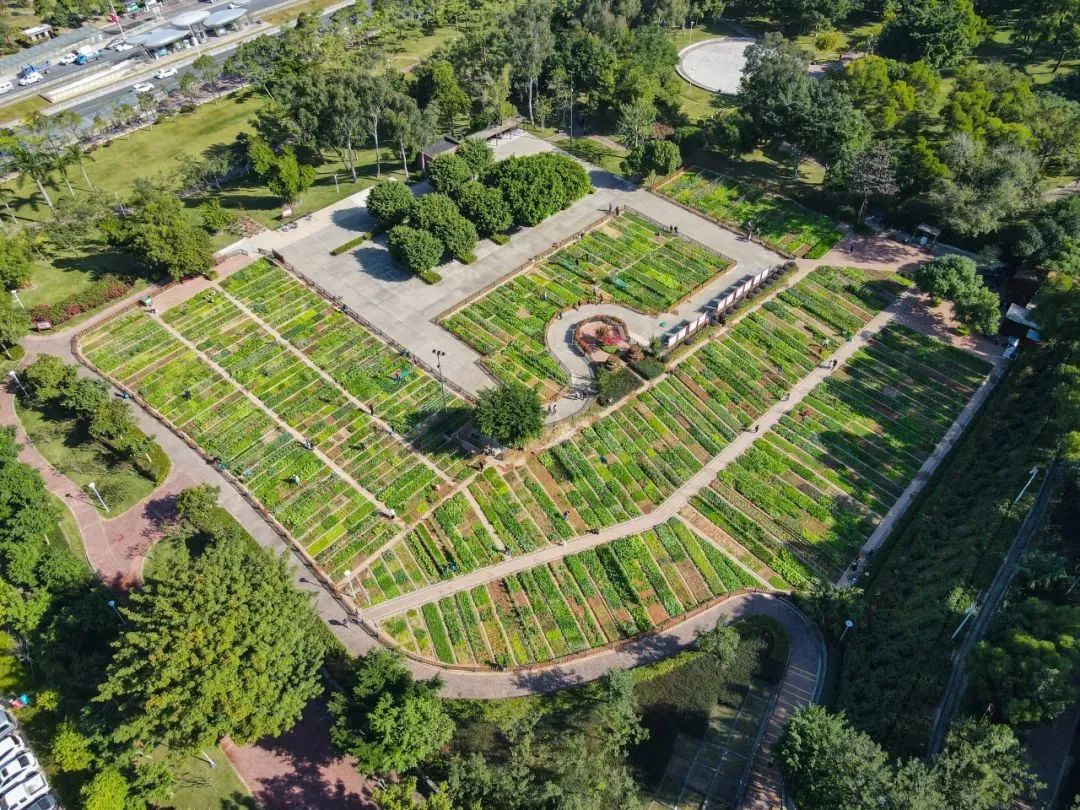 梅華城市花園3.jpg